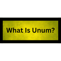 What Is Unum? Moniker