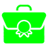 Green Bag